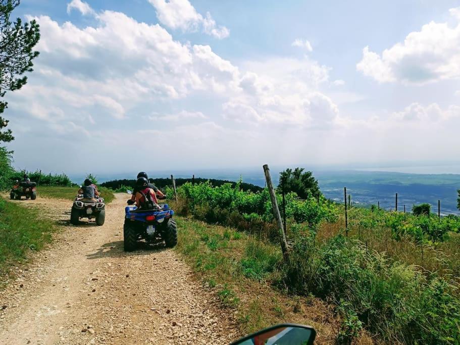 Giardino Del Borgo Appartamento Valpolicella SantʼAmbrogio di Valpolicella Екстериор снимка