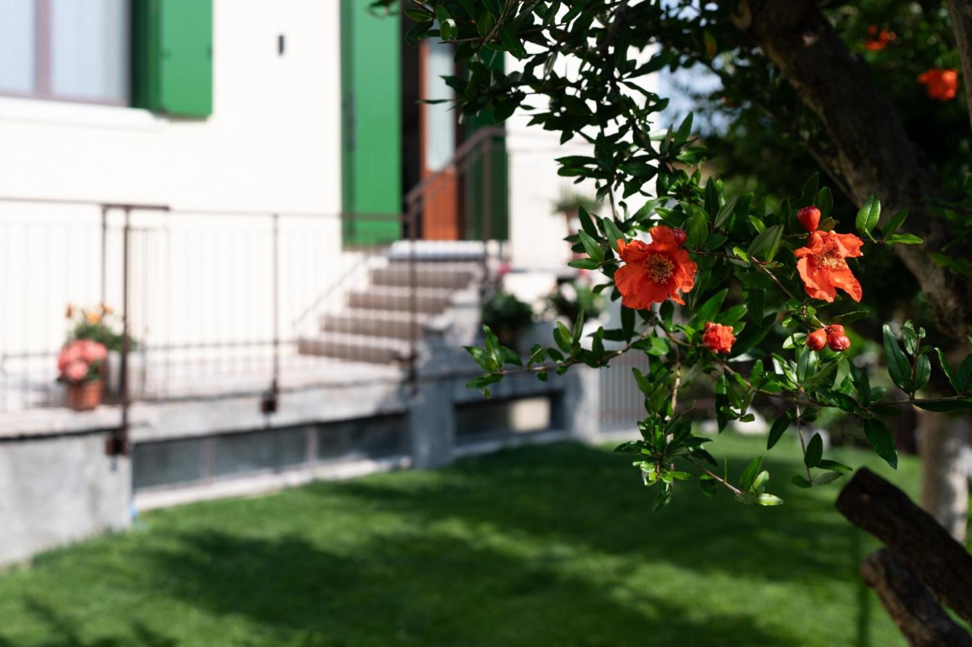 Giardino Del Borgo Appartamento Valpolicella SantʼAmbrogio di Valpolicella Екстериор снимка